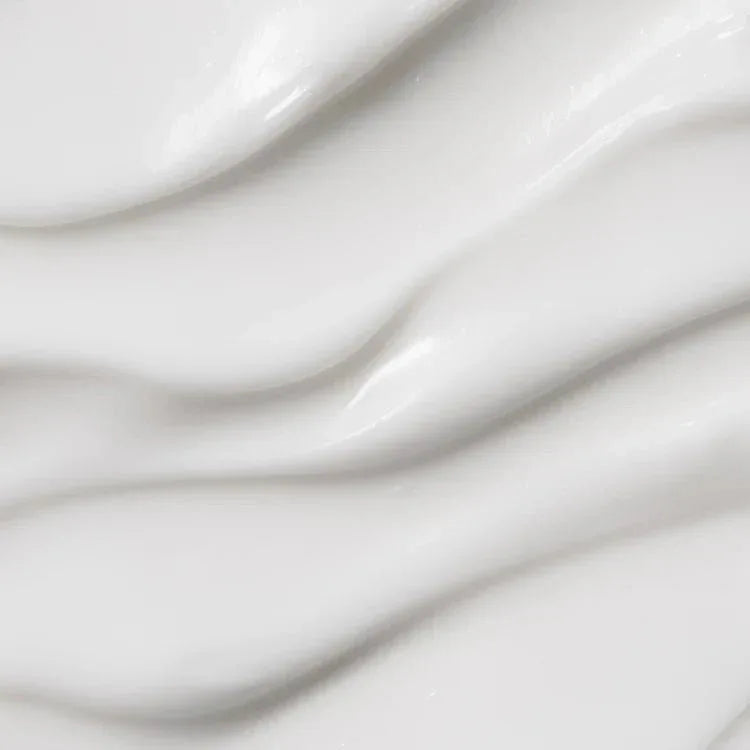 Moringa Ceramide Hyaluronic Cream 50 ml. - Namü 나무